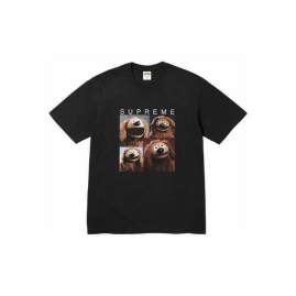 Picture of Supreme T Shirts Short _SKUSupremeS-2XLthtxS661250
